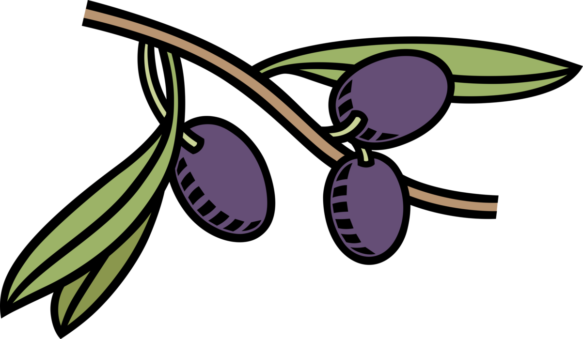 Vector Illustration of Edible Italian Purple Plum Fruit
