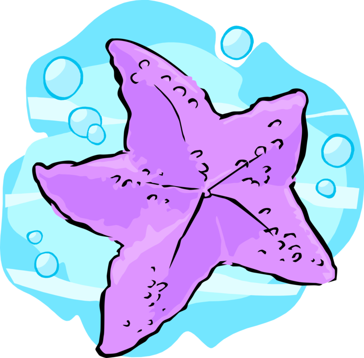 Vector Illustration of Marine Invertebrate Starfish