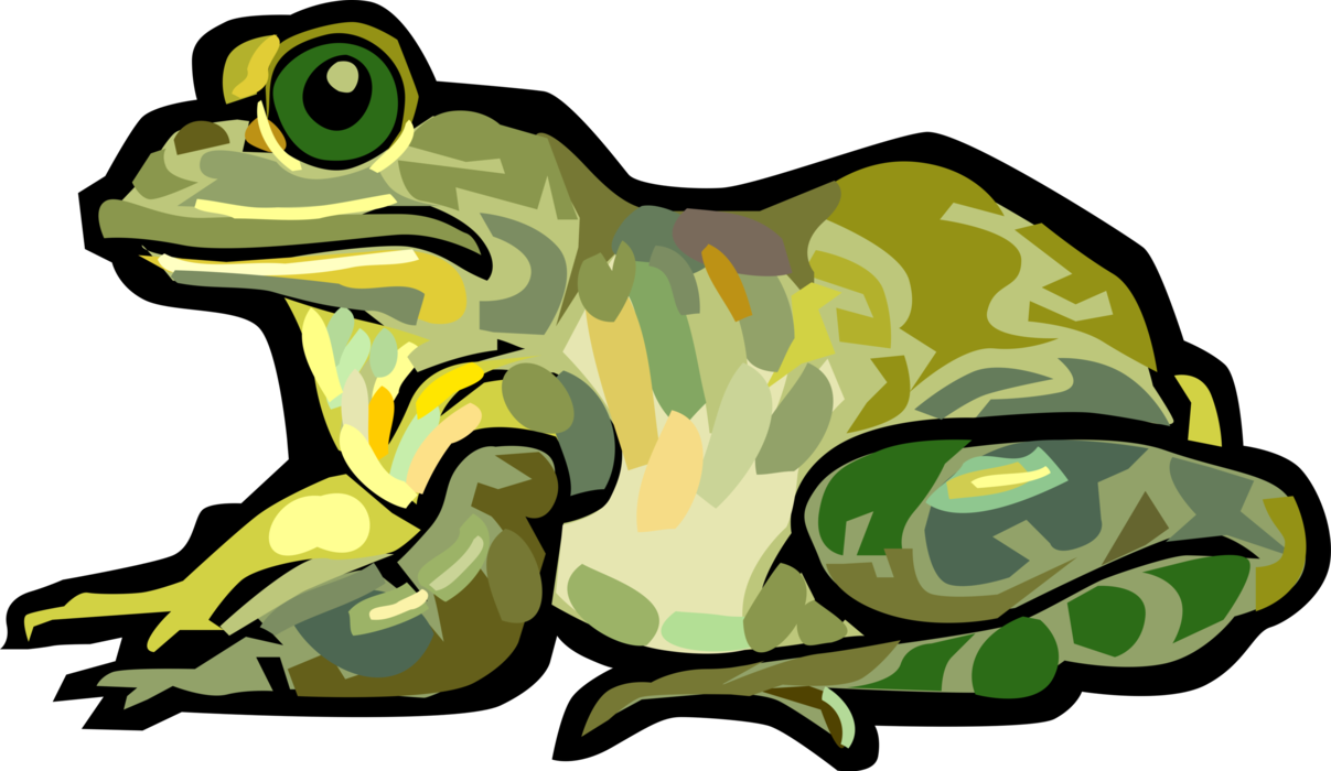 Vector Illustration of Amphibian Bullfrog Frog Portrayed as Benign, Ugly, and Clumsy