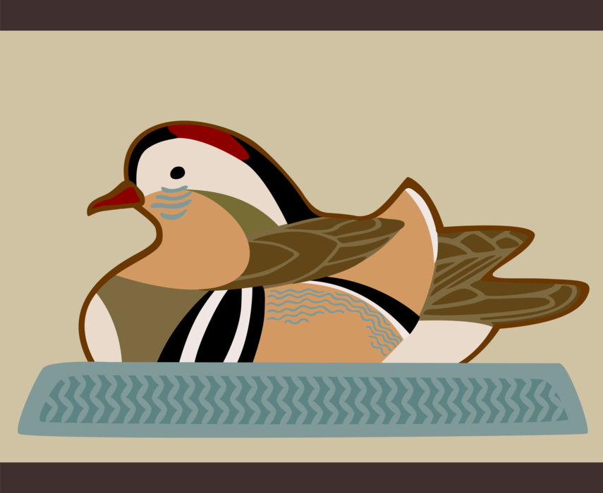 Vector Illustration of Waterfowl Duck Bird