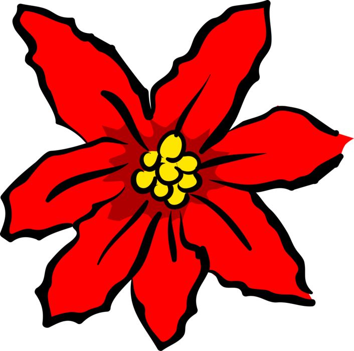 Vector Illustration of Festive Season Christmas Poinsettia Flower