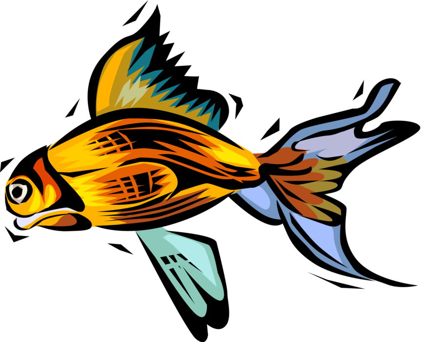 Vector Illustration of Aquatic Tropical Gold Fish 
