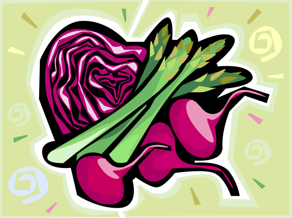 Vector Illustration of Red Cabbage, Asparagus, and Red Beet Beetroot or Taproot Vegetables