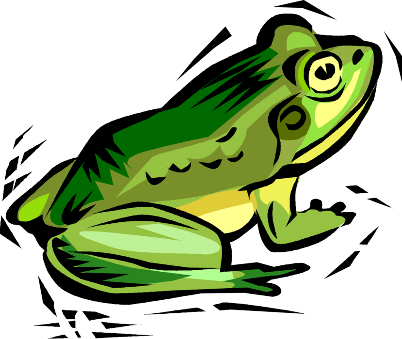 Vector Illustration of Amphibian Frog Portrayed as Benign, Ugly, and Clumsy