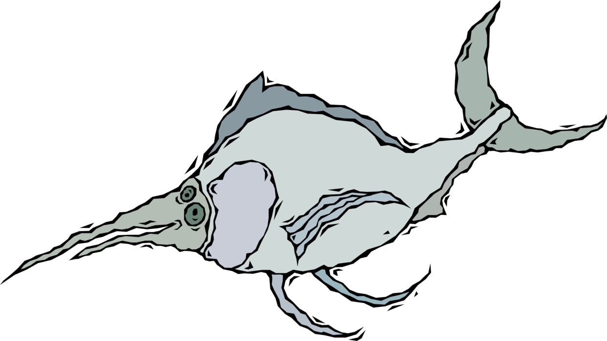 Vector Illustration of Aquatic Broadbill Swordfish Billfish Fish