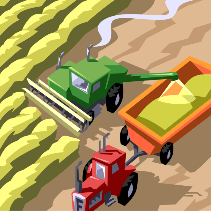 Vector Illustration of Farming Combine Tractor Harvesting Wheat Grain Crop from Farm Grainfield