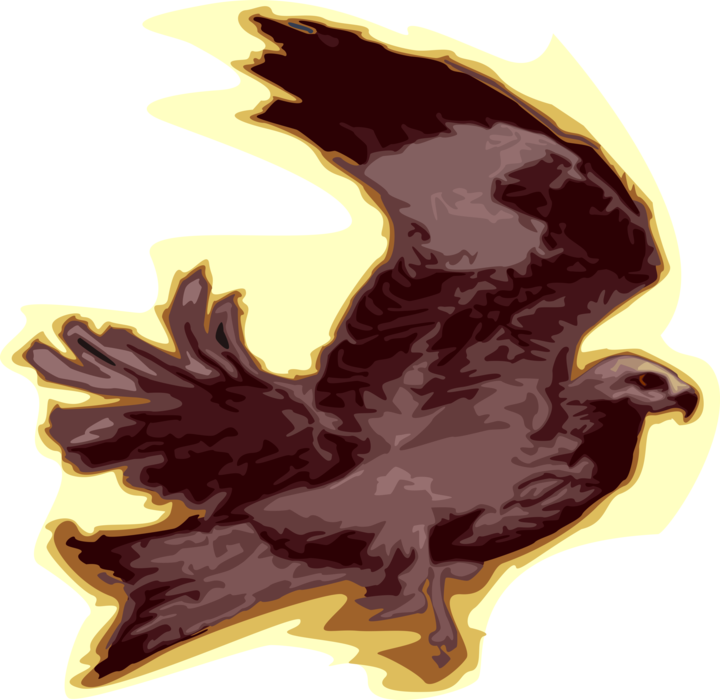 Vector Illustration of Eagle Bird of Prey in Flight