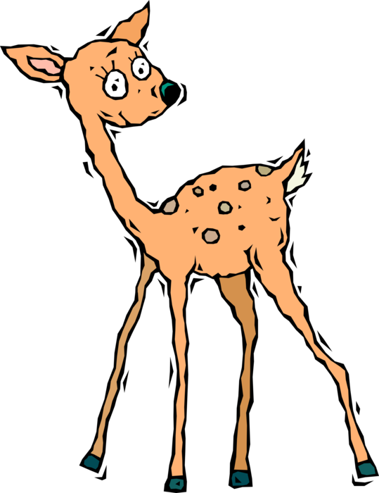 Vector Illustration of White-Tail Baby Doe Female Deer