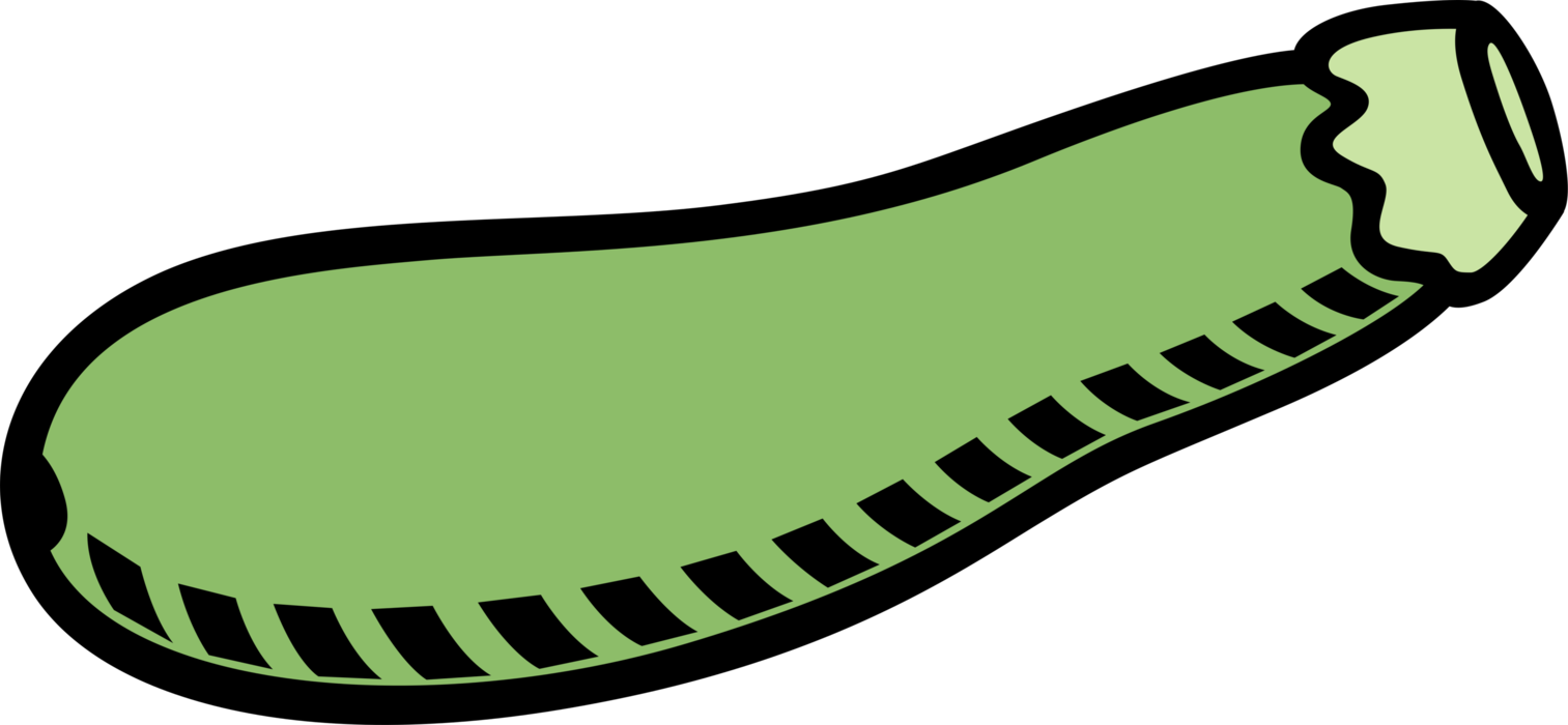 Vector Illustration of Summer Squash Zucchini Edible Vegetable