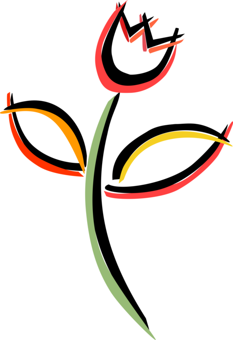 Vector Illustration of Tulip Bulbous Plant Flower Plant