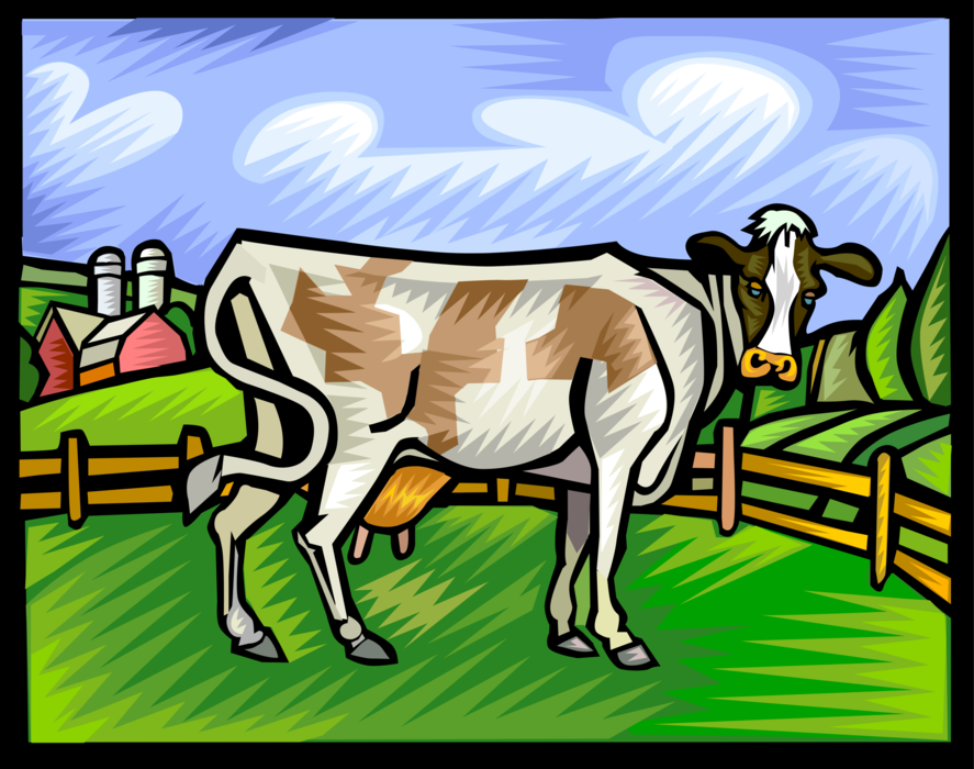 Vector Illustration of Holstein Dairy Cow Grazing in Farm Field with Farming Building Barn and Silo