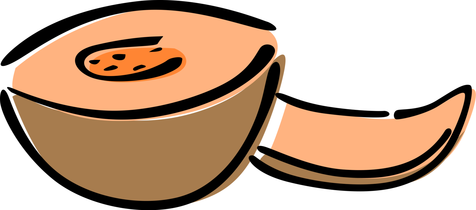 Vector Illustration of Fresh Fruit Sliced Cantaloupe or Cantelope Nutmeg Melon or Muskmelon