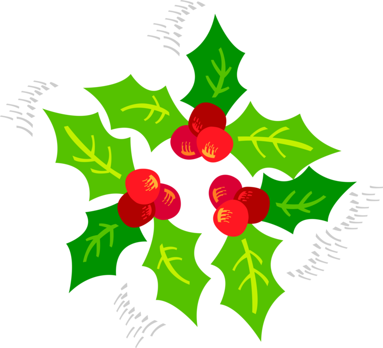 Vector Illustration of Festive Season Christmas Holly Traditional Decoration