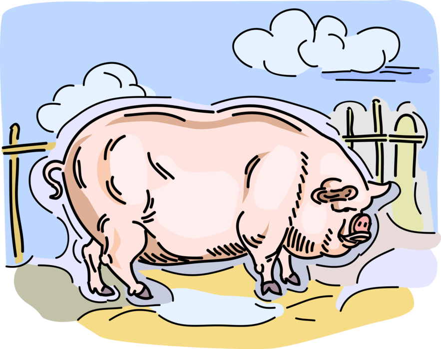 Vector Illustration of Domesticated Pig in Farm Pigsty Pigpen