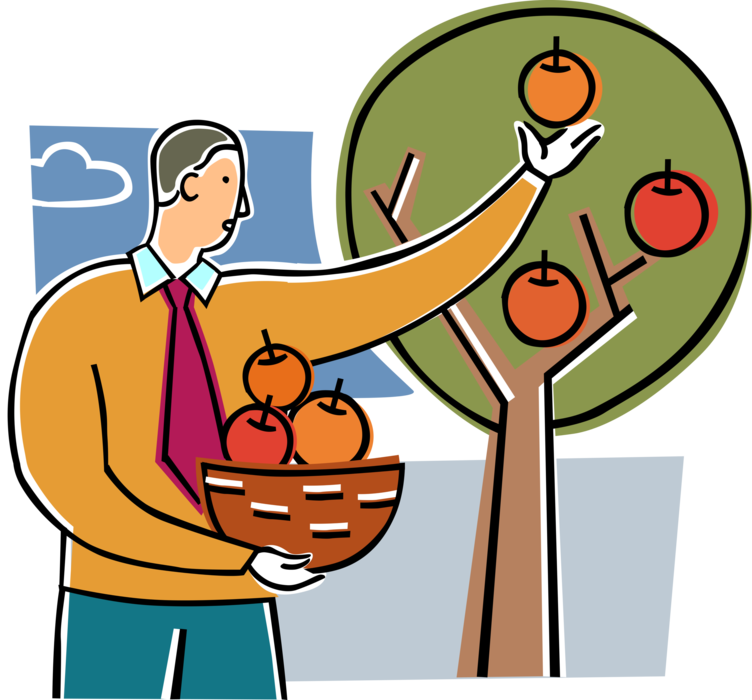 Vector Illustration of Businessman Picks Ripe Fruit Apples During Harvest from Apple Tree in Orchard