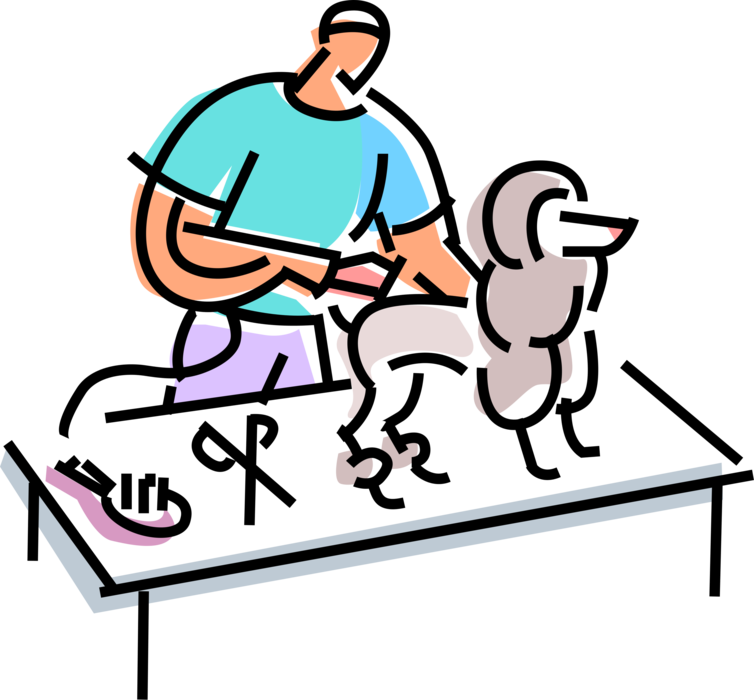 Vector Illustration of Pet Grooming Poodle Gets Hair Cut Trim with Scissors at Doggie Salon