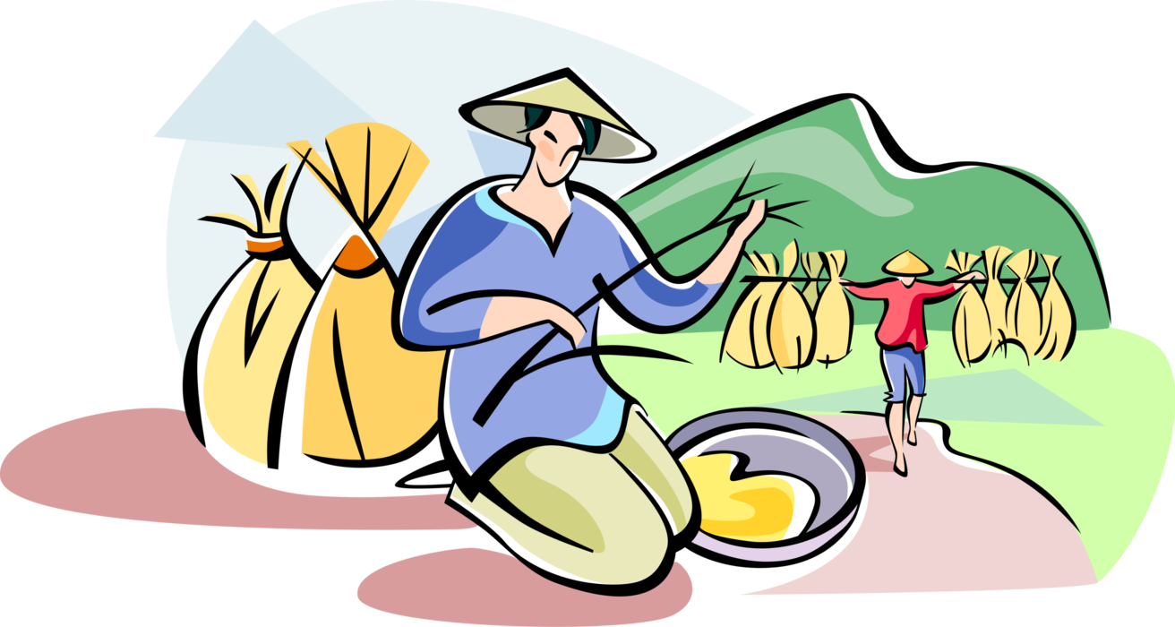 Vector Illustration of Chinese Peasant Farmer Planting Rice in Fields