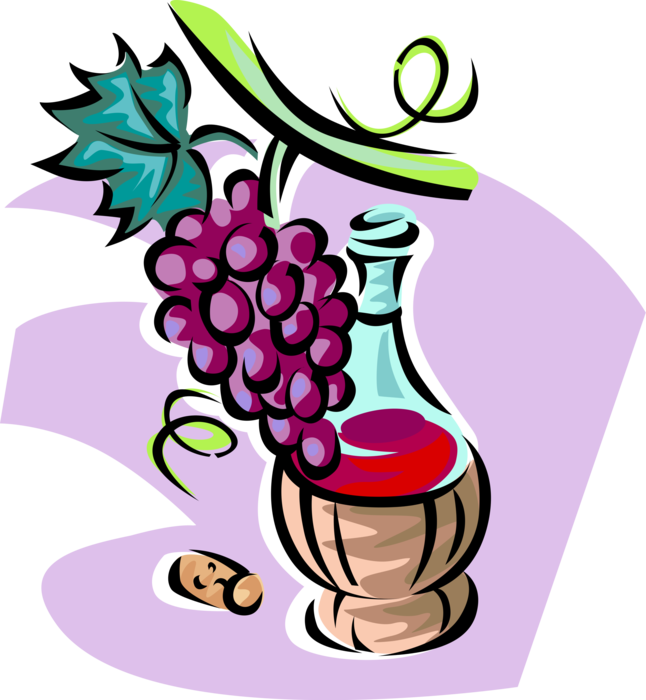Vector Illustration of Red Wine and Fruit Grapes on Vine