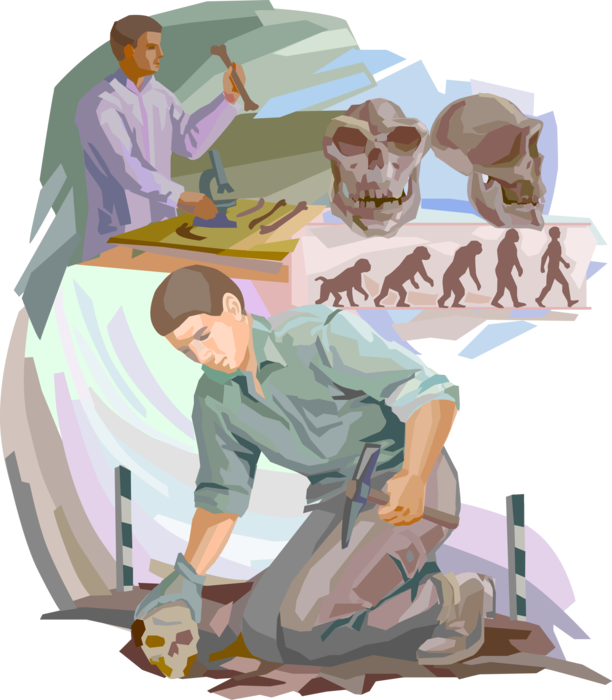 Vector Illustration of Archeologist Archaeologist Studies Human Prehistory and History Excavates Prehistoric Skulls