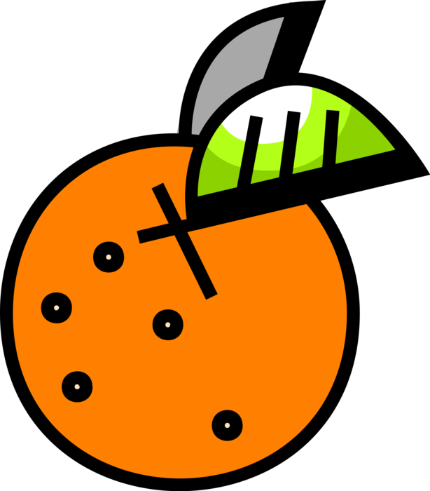 Vector Illustration of Orange Citrus Fruit with Leaf