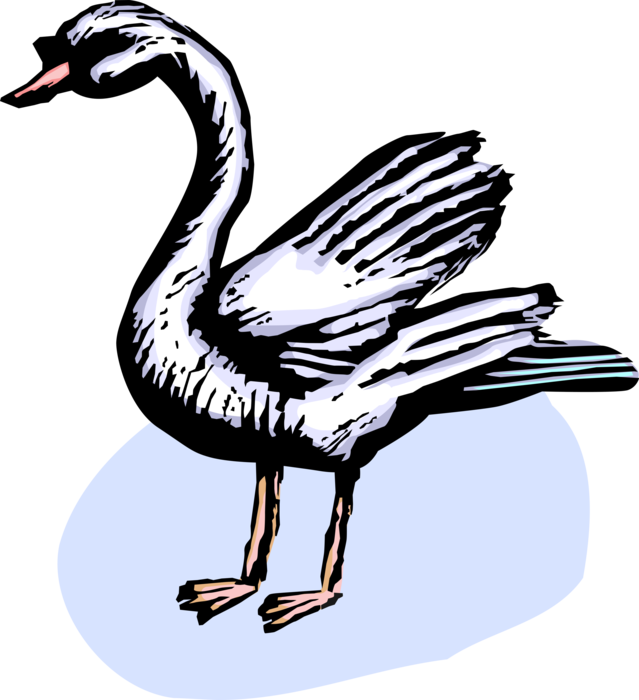Vector Illustration of Mute Swan Bird Standing
