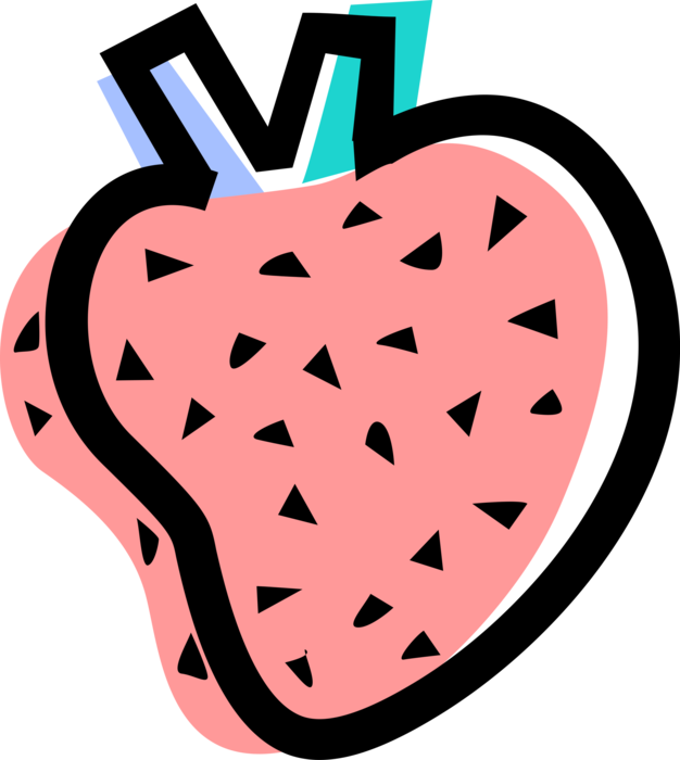 Vector Illustration of Human Heart with Aorta