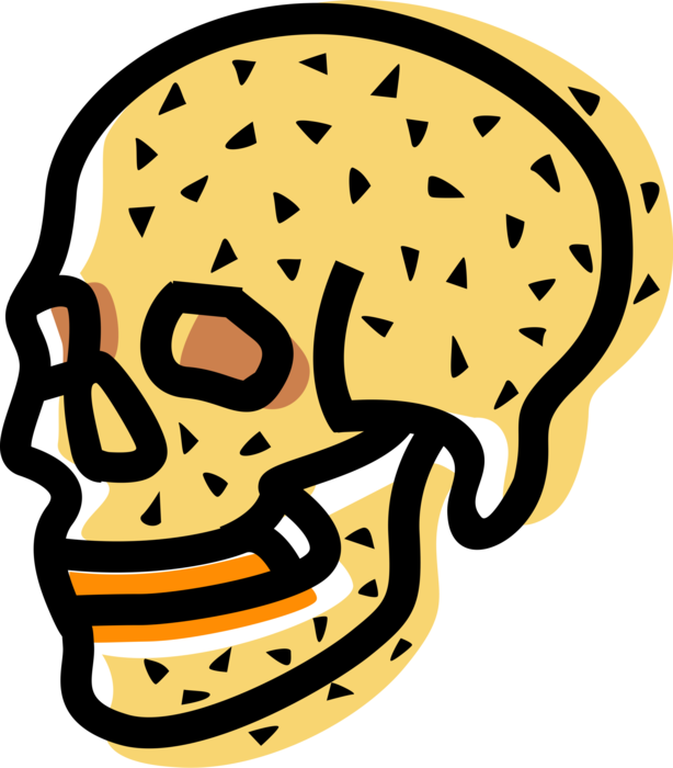 Vector Illustration of Human Skeleton Skull Head
