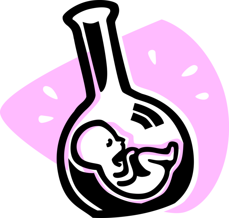 Vector Illustration of Fetus Prenatal Human Between Embryonic State and Birth Baby in Laboratory Beaker
