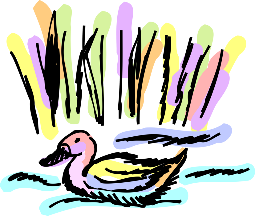 Vector Illustration of Waterfowl Duck Bird Swims in Marshlands Wetland