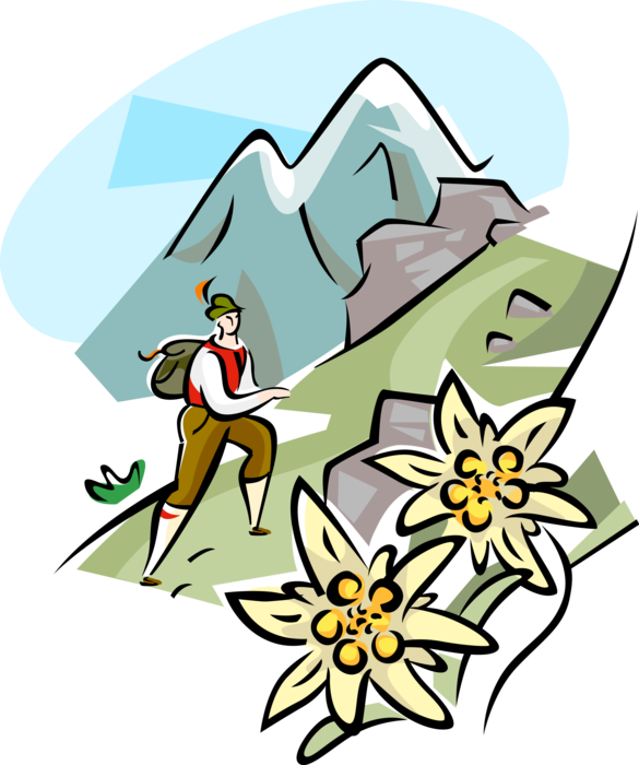 Vector Illustration of Mountain Guide Hiking in the Alps with Flowers and Mountains