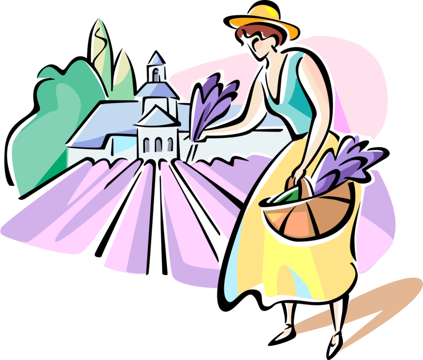 Vector Illustration of Woman Picking Vegetables