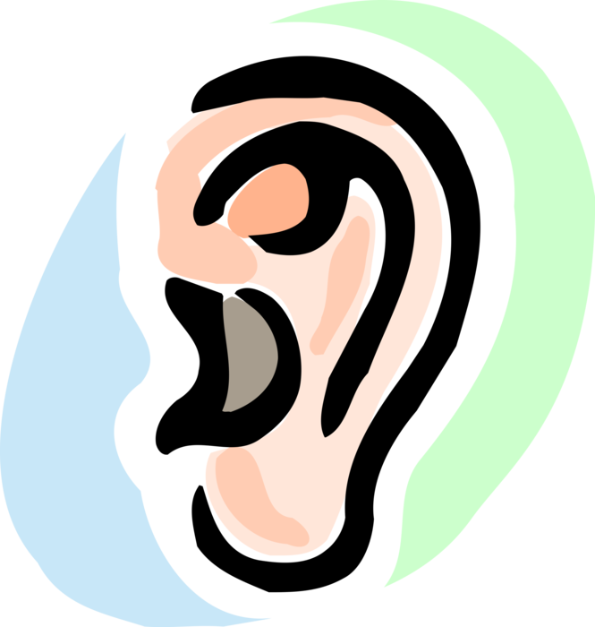Vector Illustration of Human Ear for Hearing