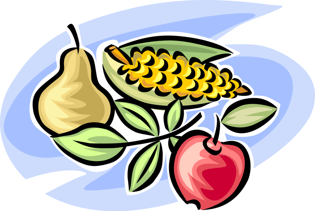 Vector Illustration of Fall or Autumn Harvest Fruit Pear, Apple and Maize Husk Cob of Corn
