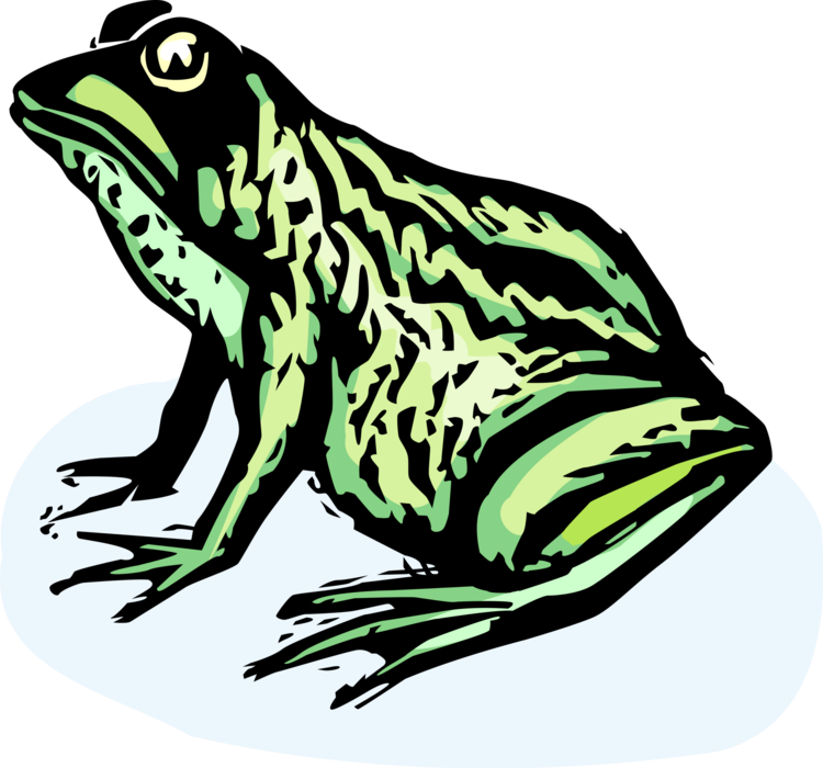 Vector Illustration of Amphibian Leopard Frog Ready to Jump