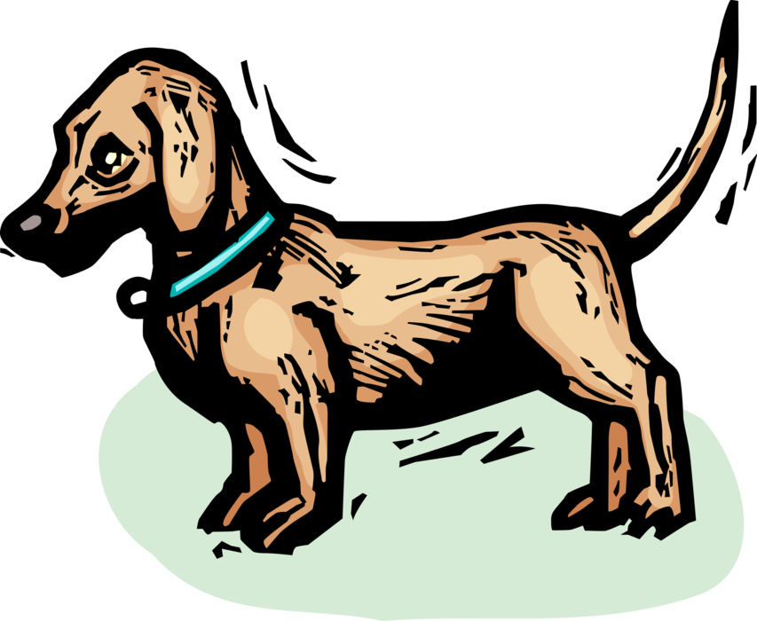 Vector Illustration of Family Pet Dog Ready for Fun