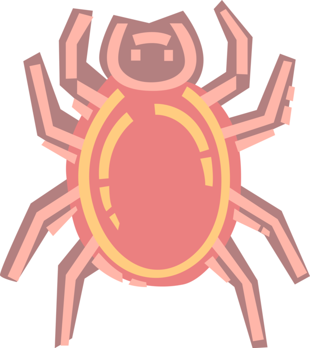 Vector Illustration of Arachnid Spider Insect Bug 