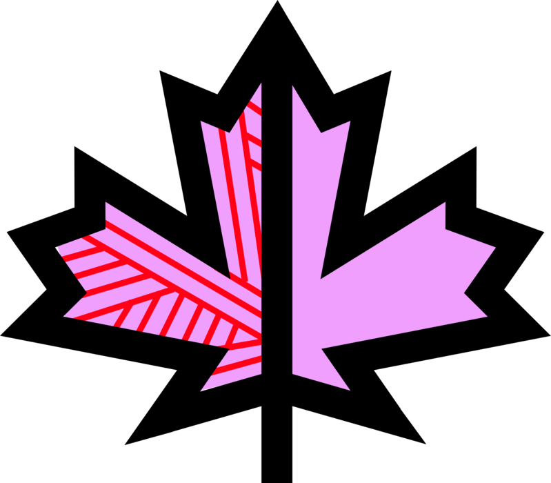 Vector Illustration of Vascular Botanical Horticulture Plant Foliage Maple Leaf