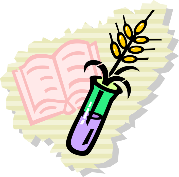 Vector Illustration of Science Biology Education in School Classroom with Wheat Grain Sheaf in Test Tube