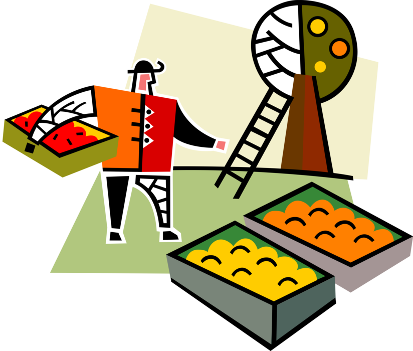 Vector Illustration of Fruit Orchard Farming Operation Farmer with Citrus Orange, Grapefruit and Lemon Harvest
