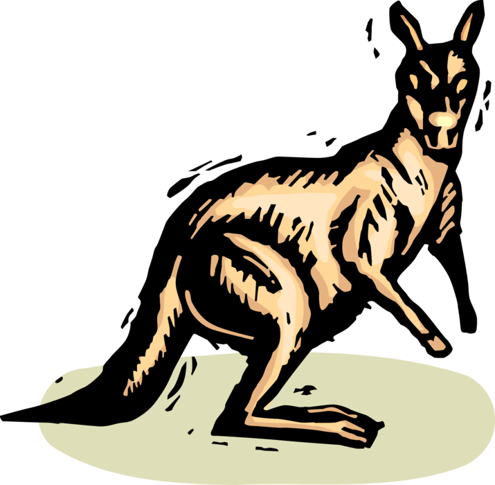 Vector Illustration of Australian Marsupial Kangaroo in Outback