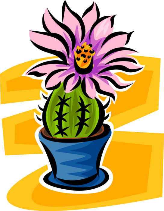 Vector Illustration of Botanical Flowering Cactus Plant Garden Flower Blossom