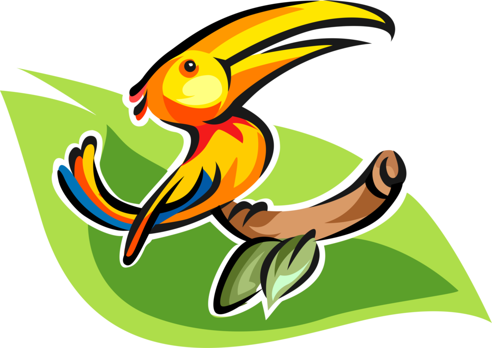 Vector Illustration of Colorful Exotic Toucan Bird Perched on Tree Branch