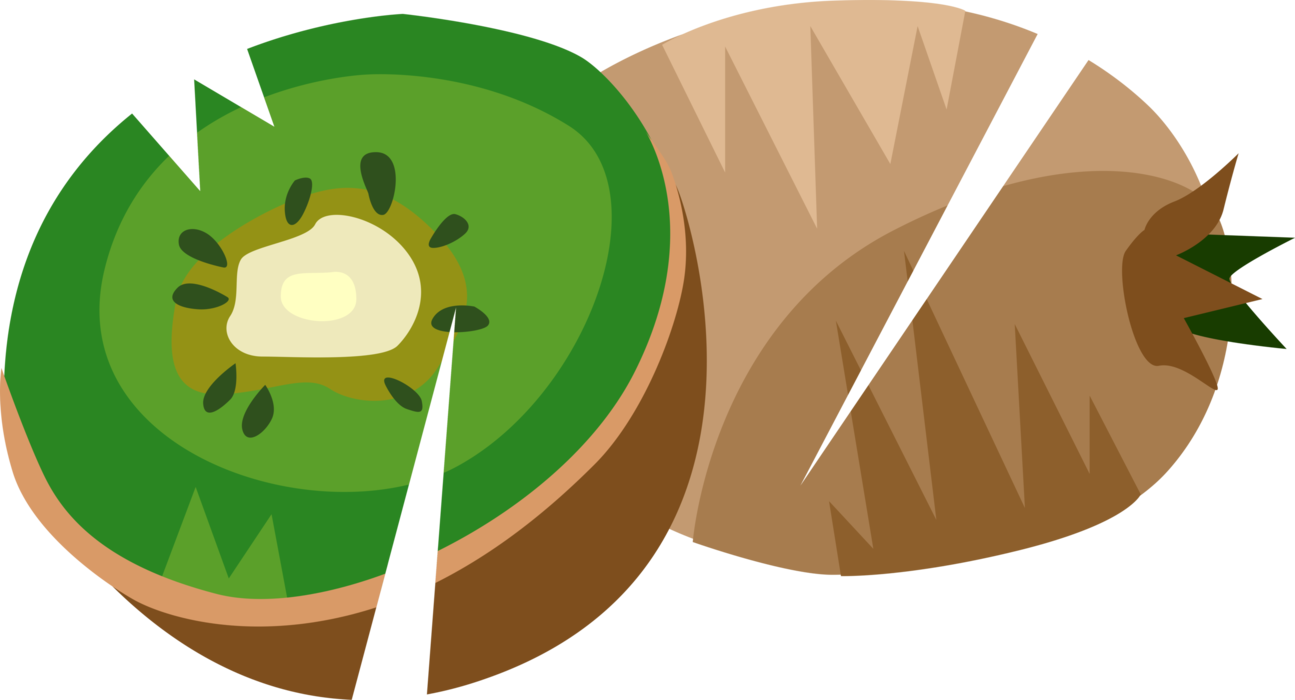 Vector Illustration of Kiwifruit, Chinese Gooseberry or Kiwi Edible Berry Fruit Food