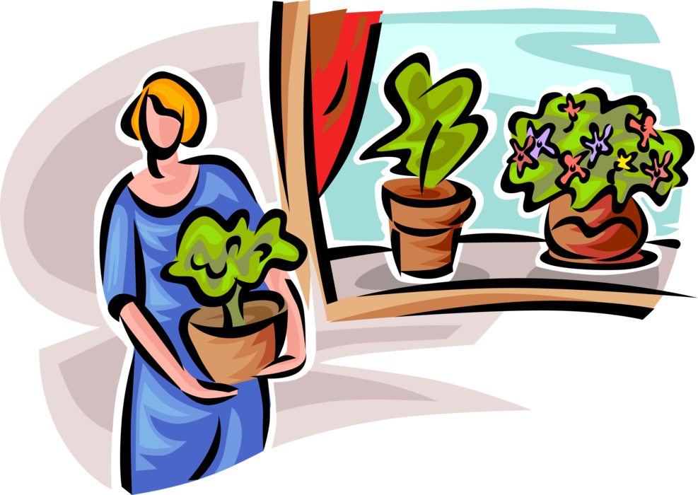 Vector Illustration of Woman Places Potted Plants on Home Window Sill