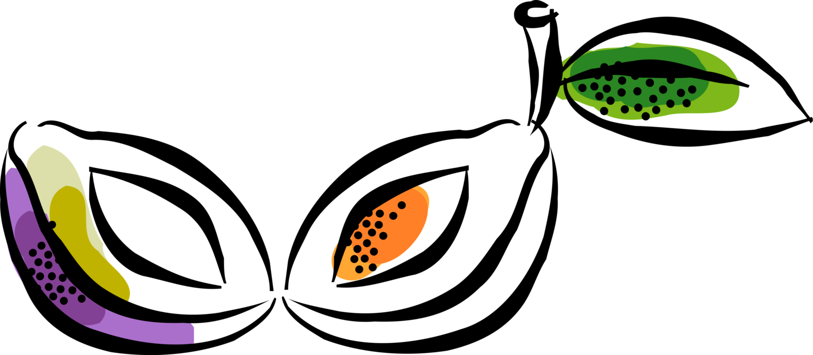 Vector Illustration of European Edible Plum Fruit