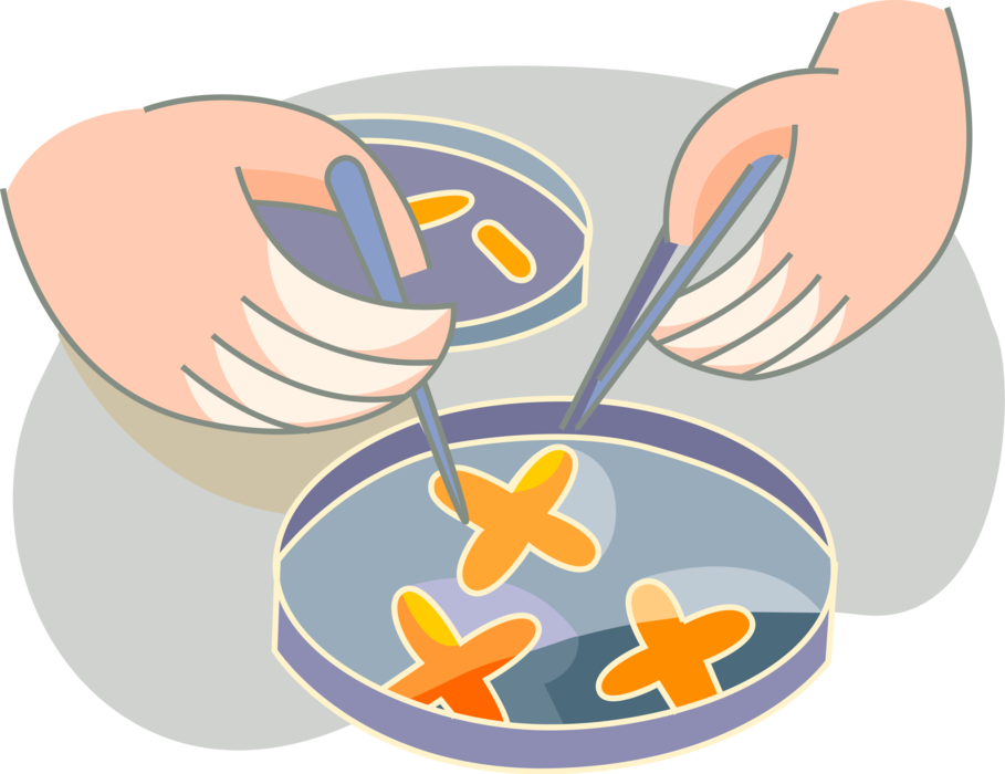 Vector Illustration of Petri Dishes Plate or Cell-Culture Dish Biologists Use to Culture Cells