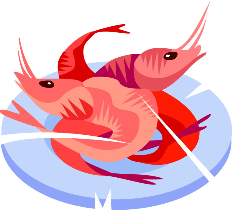 Vector Illustration of Cooked Decapod Crustacean Langostino Prawn Shrimp Seafood Dinner on Plate