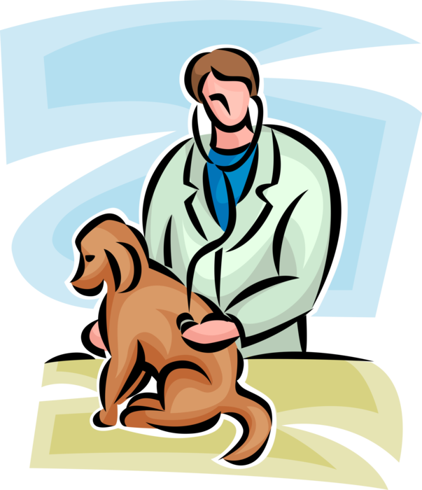 Vector Illustration of Veterinarian Examines Patient Family Pet Dog with Stethoscope