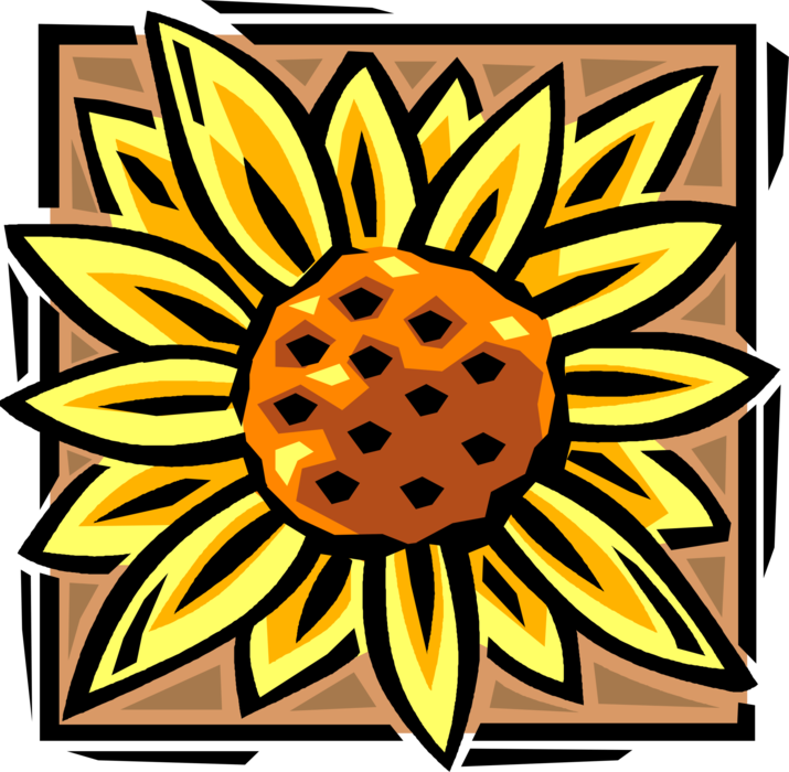 Vector Illustration of Decorative Floral Element Sunflower Blossom with Petals