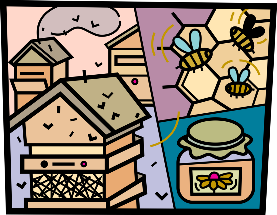 Vector Illustration of Bee Colony Apiary Honeybees or Honney Bee Hives and Honey from Honeycomb